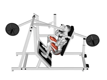 Pendulum Squat